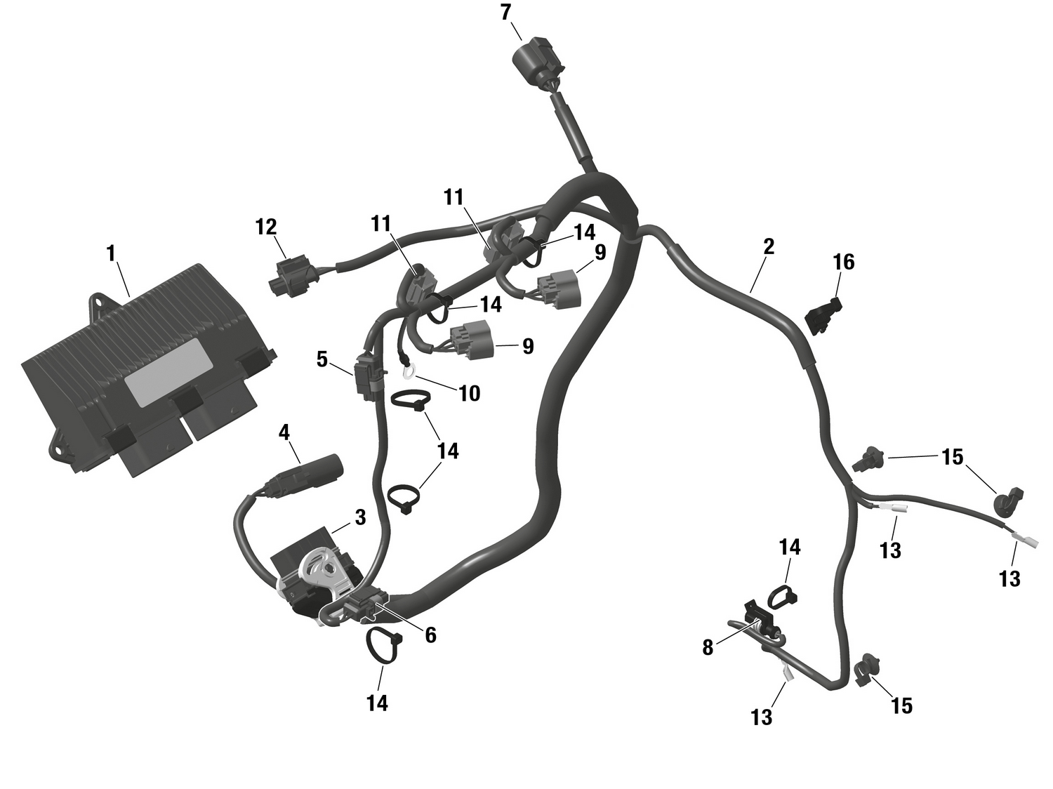 01- ROTAX - Engine Harness And Electronic Module