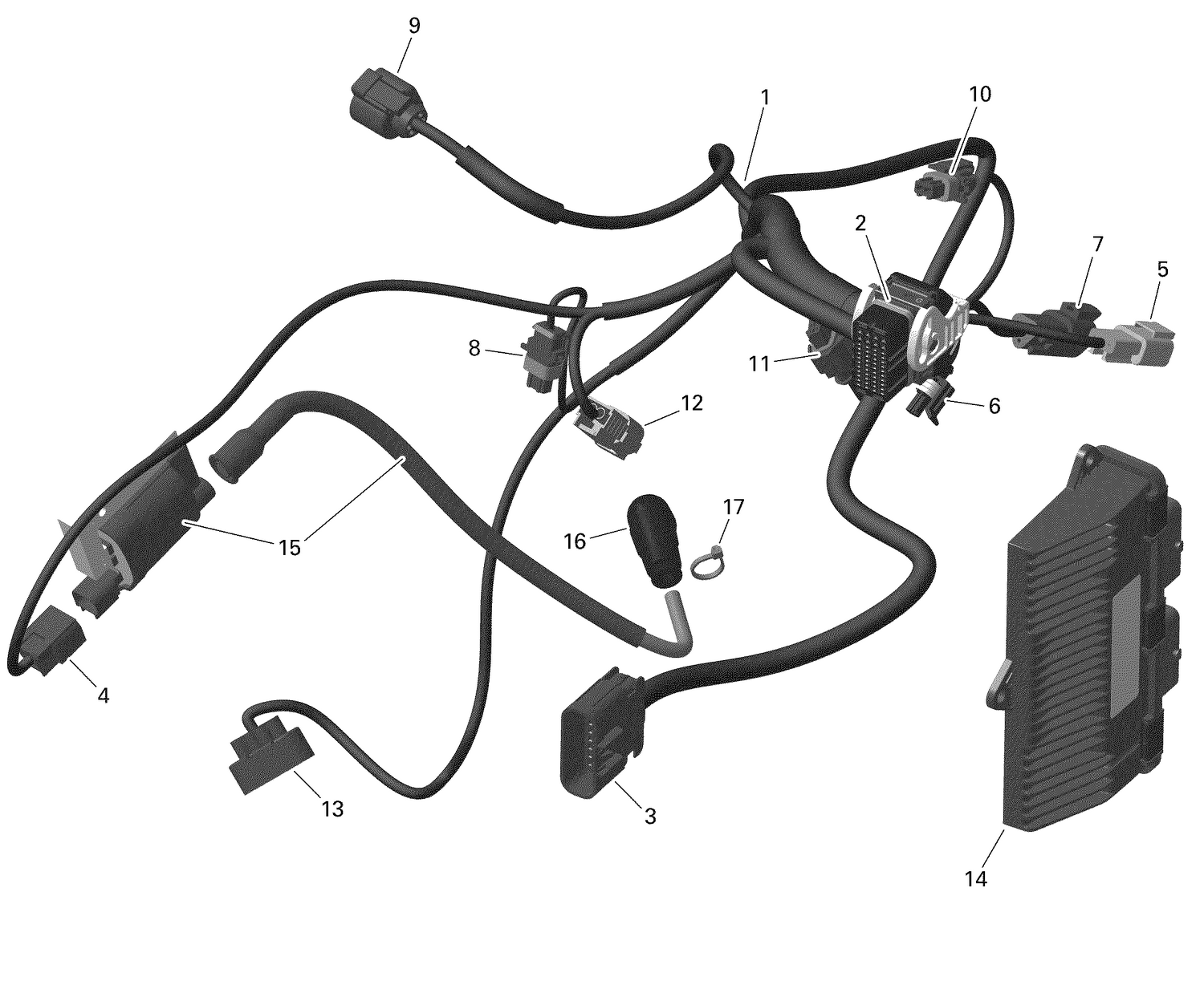 01- Rotax - Engine Harness And Electronic Module - 4