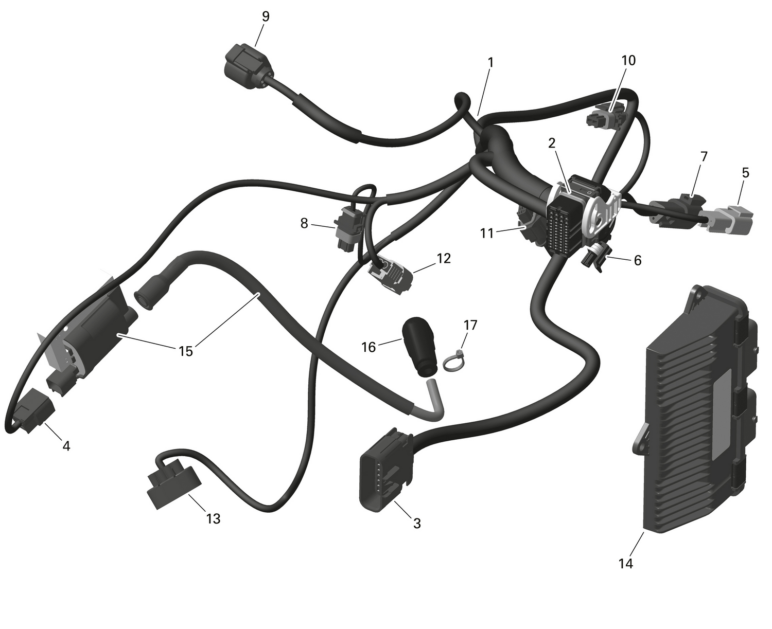 01- ROTAX - Engine Harness And Electronic Module