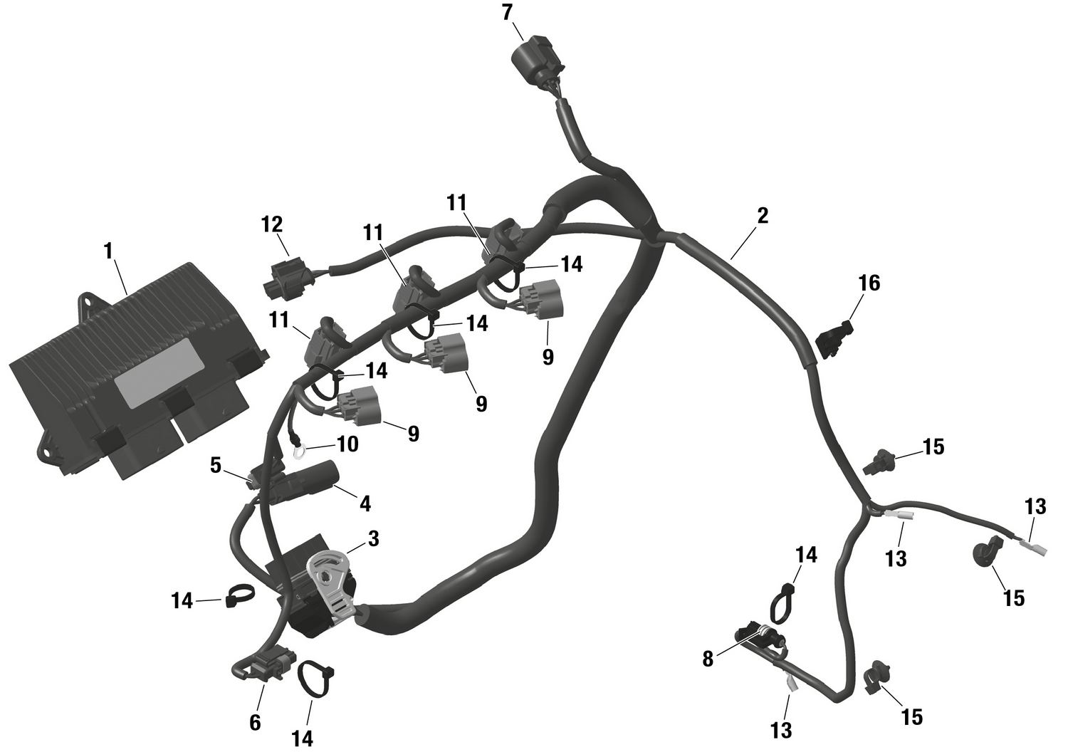 01- ROTAX - Engine Harness And Electronic Module