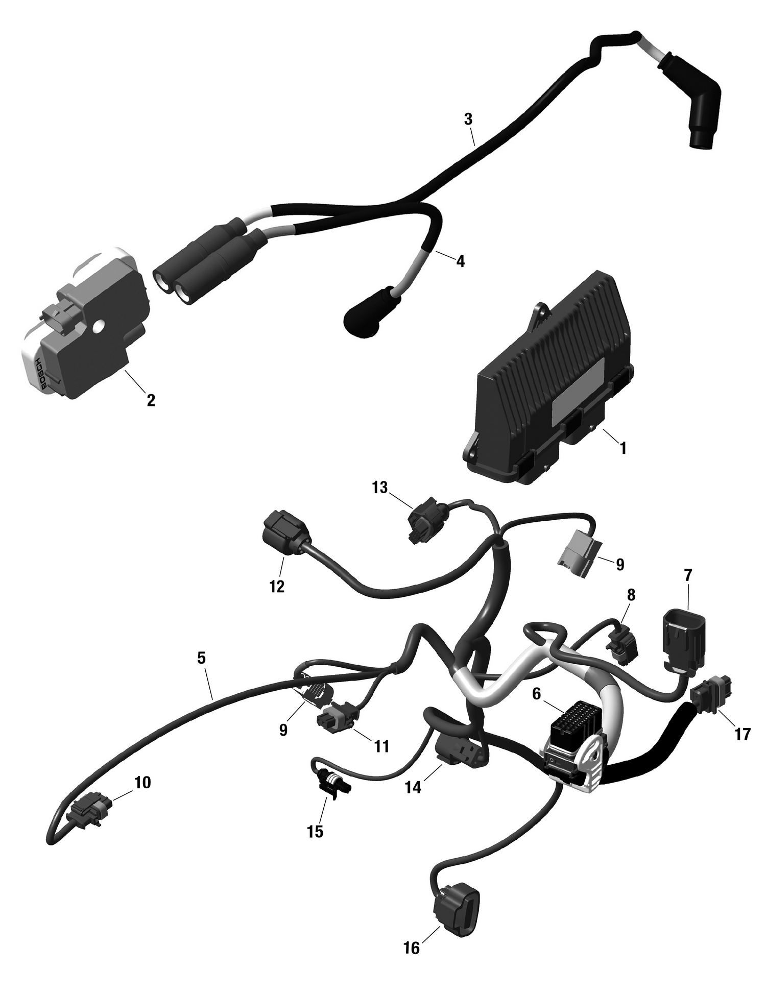 01- ROTAX - Engine Harness And Electronic Module