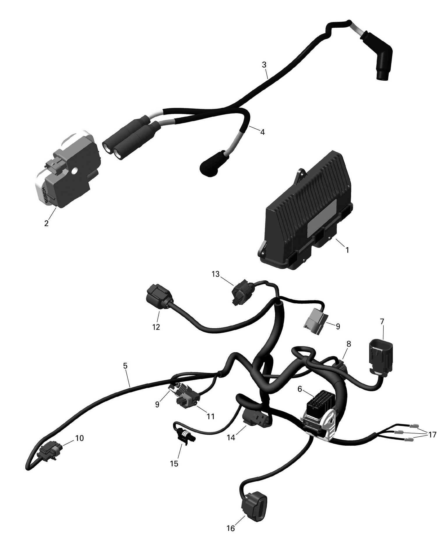 01- ROTAX - Engine Harness And Electronic Module