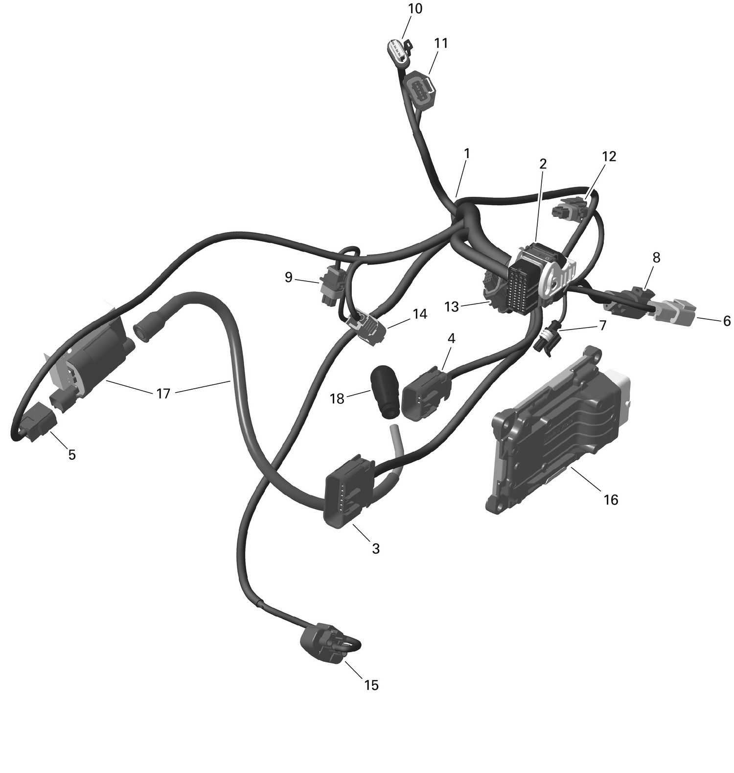 01- ROTAX - Engine Harness And Electronic Module