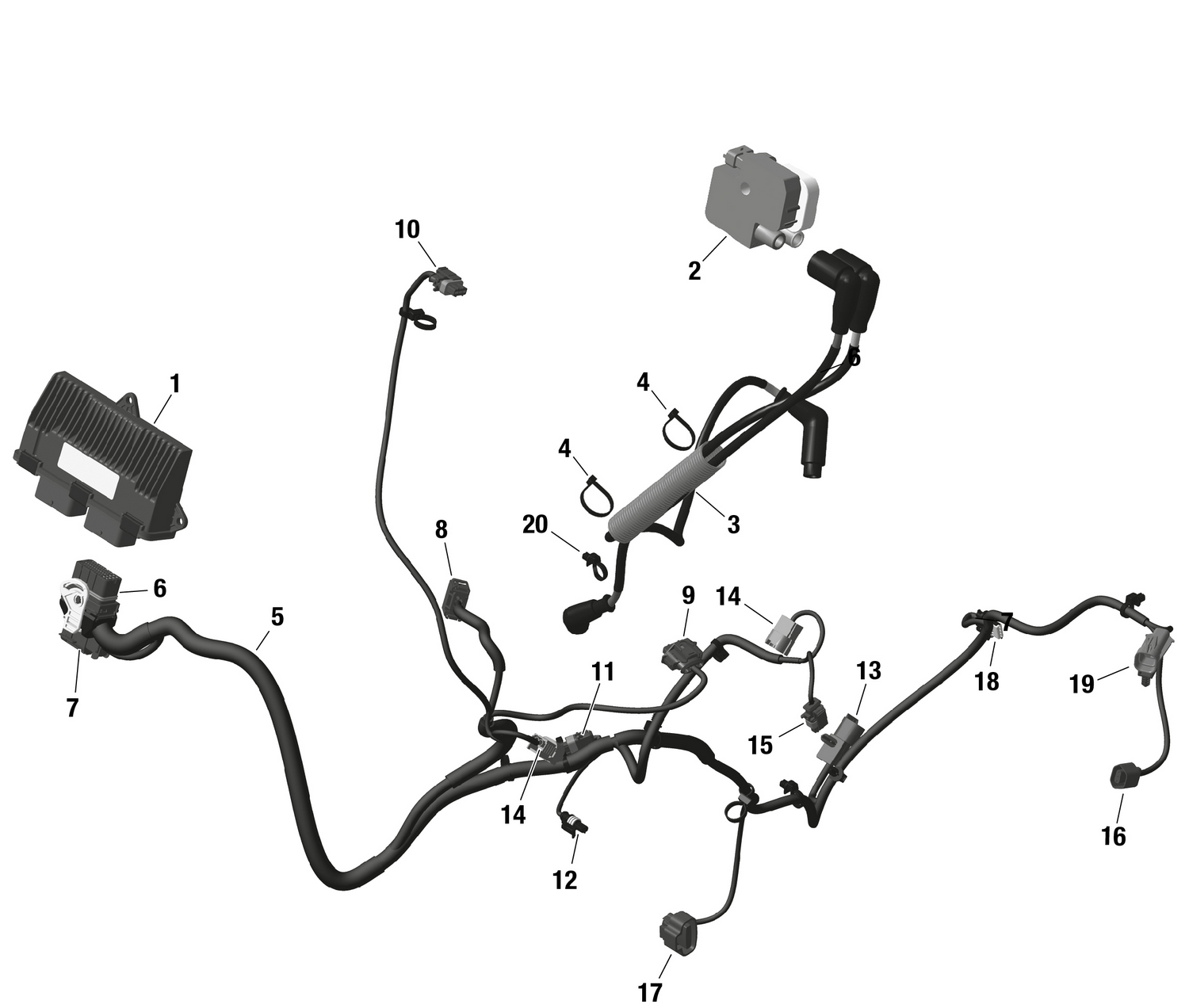 01- ROTAX - Engine Harness And Electronic Module