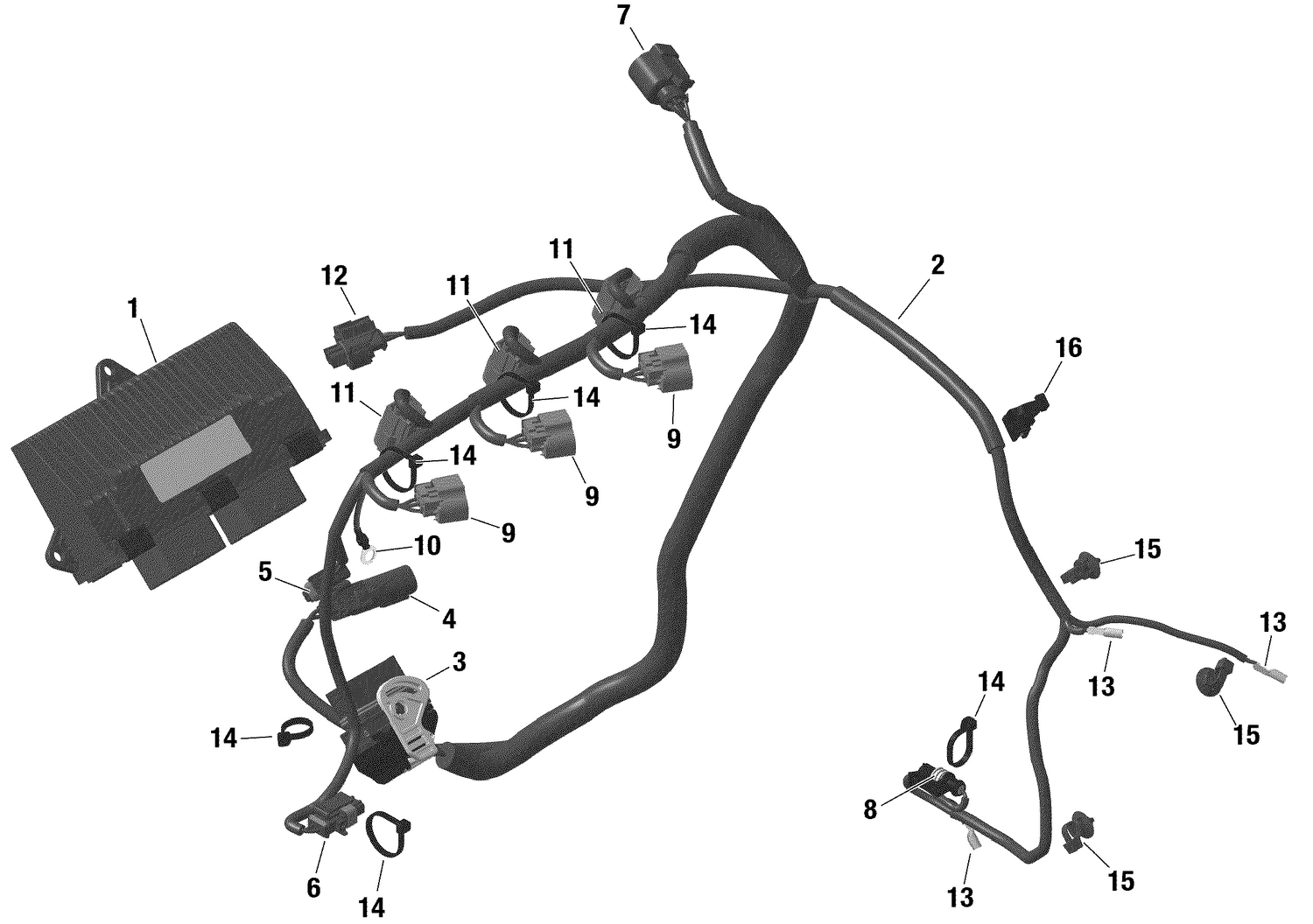 01- ROTAX - Engine Harness And Electronic Module