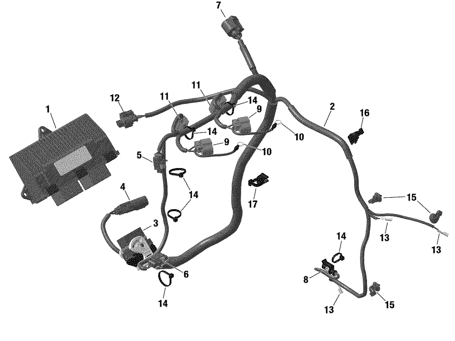 10- Electrical - Engine Harness / Electronic Module - 600 ACE