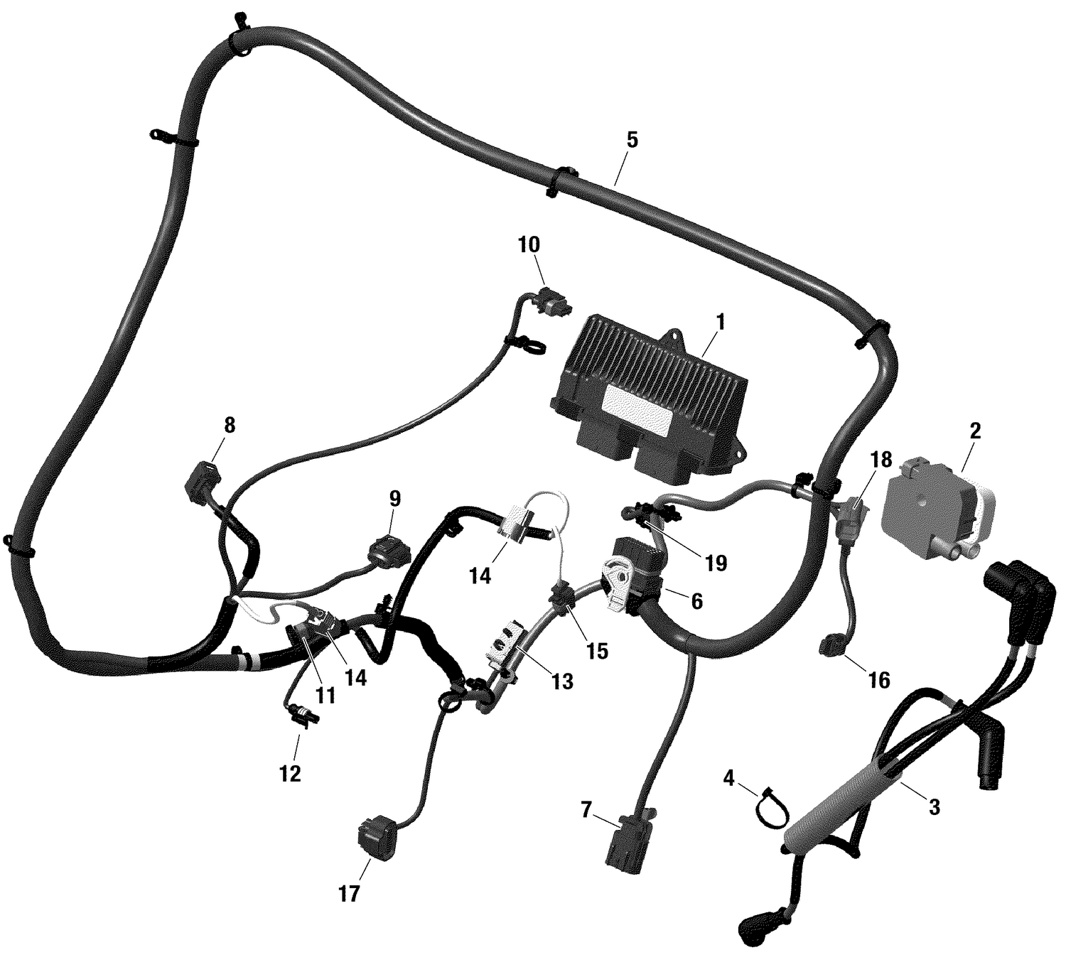 01- Rotax - Engine Harness And Electronic Module Maverick