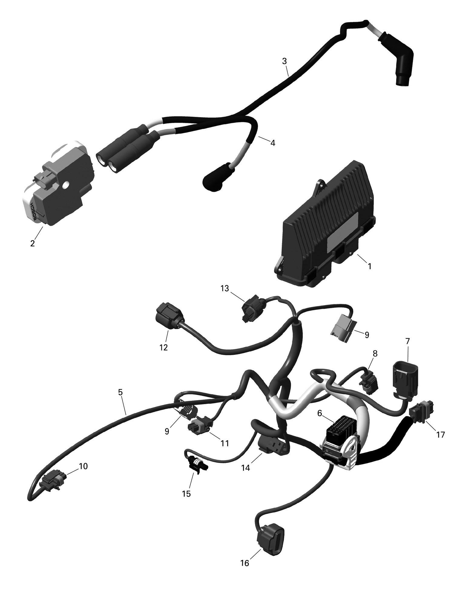01- ROTAX - Engine Harness And Electronic Module