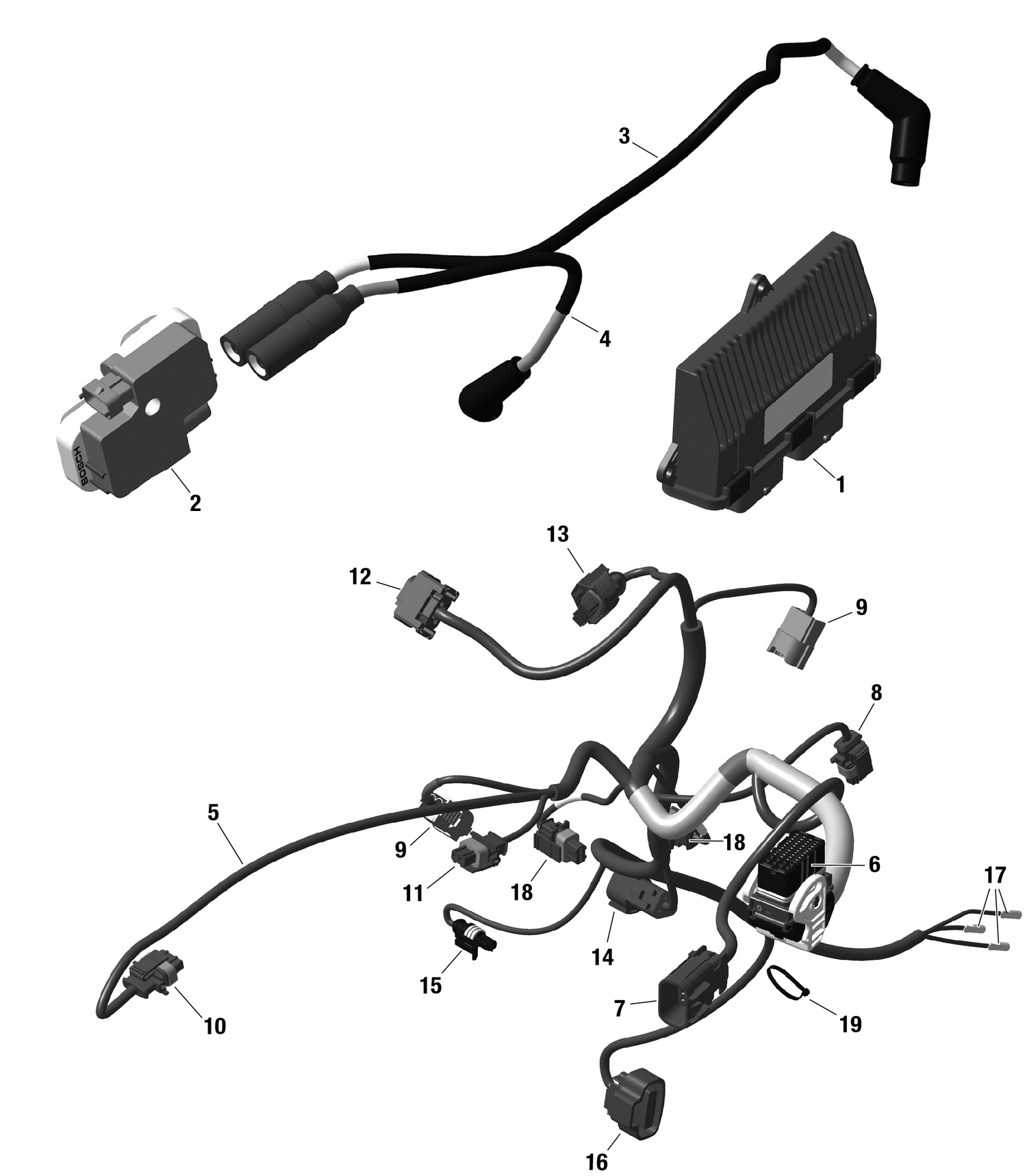 01- ROTAX - Engine Harness And Electronic Module