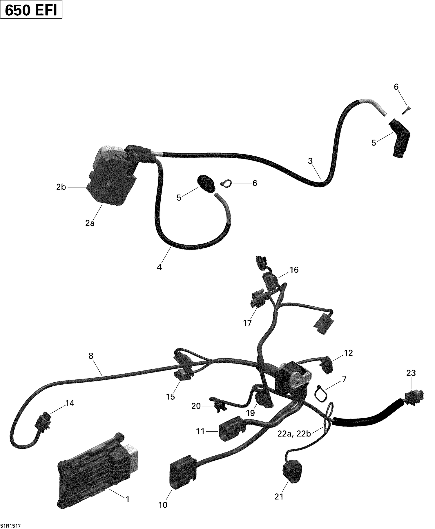 10- Engine Harness And Electronic Module _51R1517