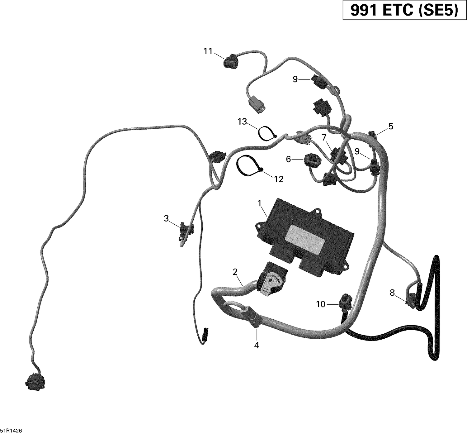 10- Engine Harness And Electronic Module
