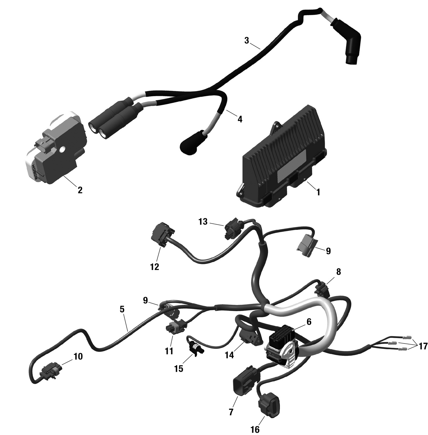 01- ROTAX - Engine Harness And Electronic Module