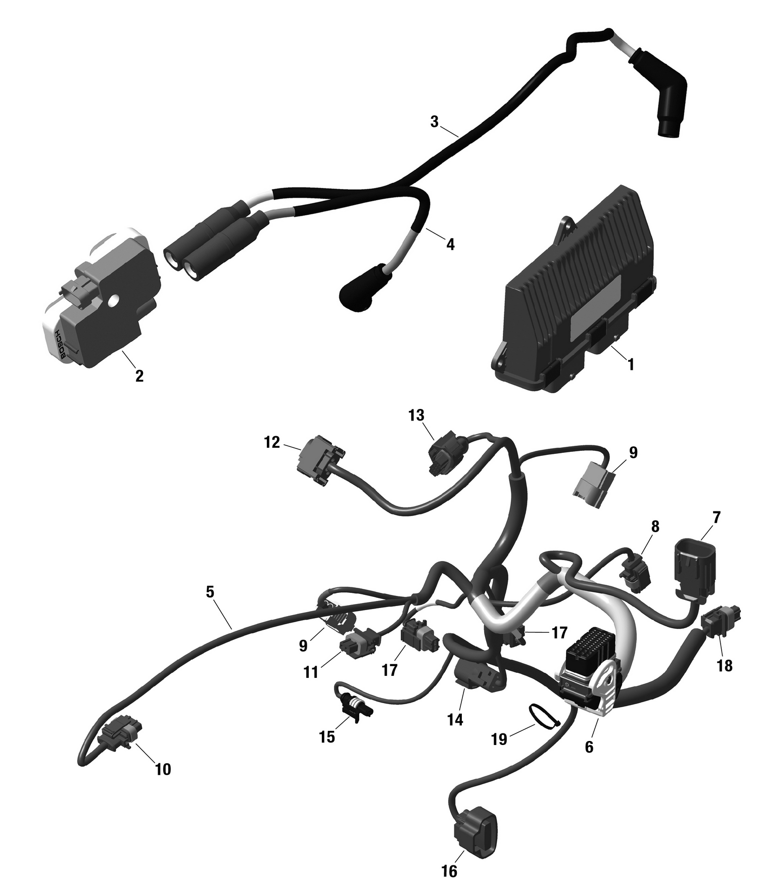 01- ROTAX - Engine Harness And Electronic Module