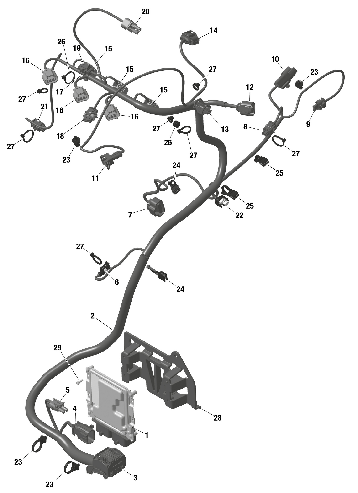 01- ROTAX - Engine Harness And Electronic Module