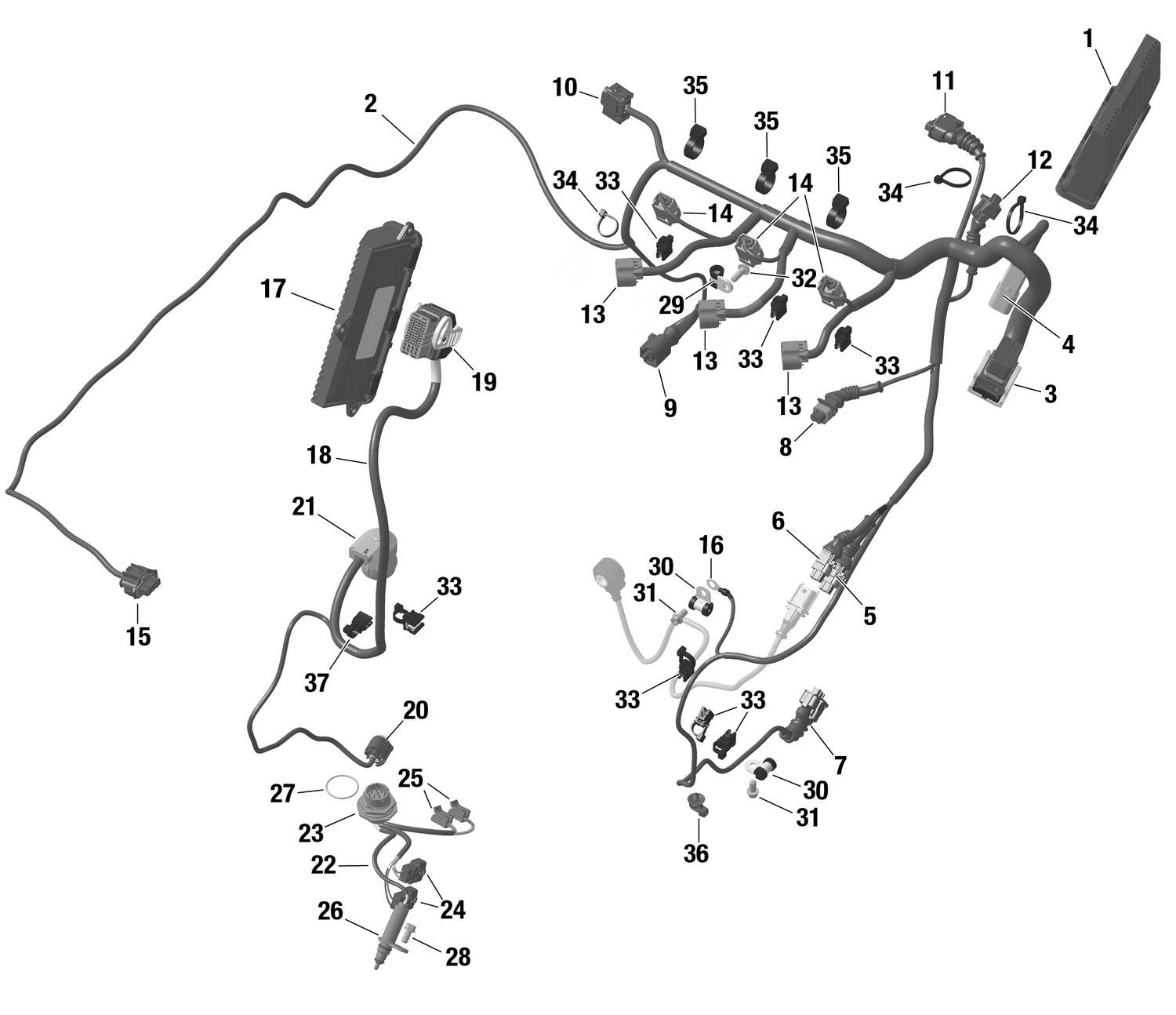 01- ROTAX - Engine Harness And Electronic Module