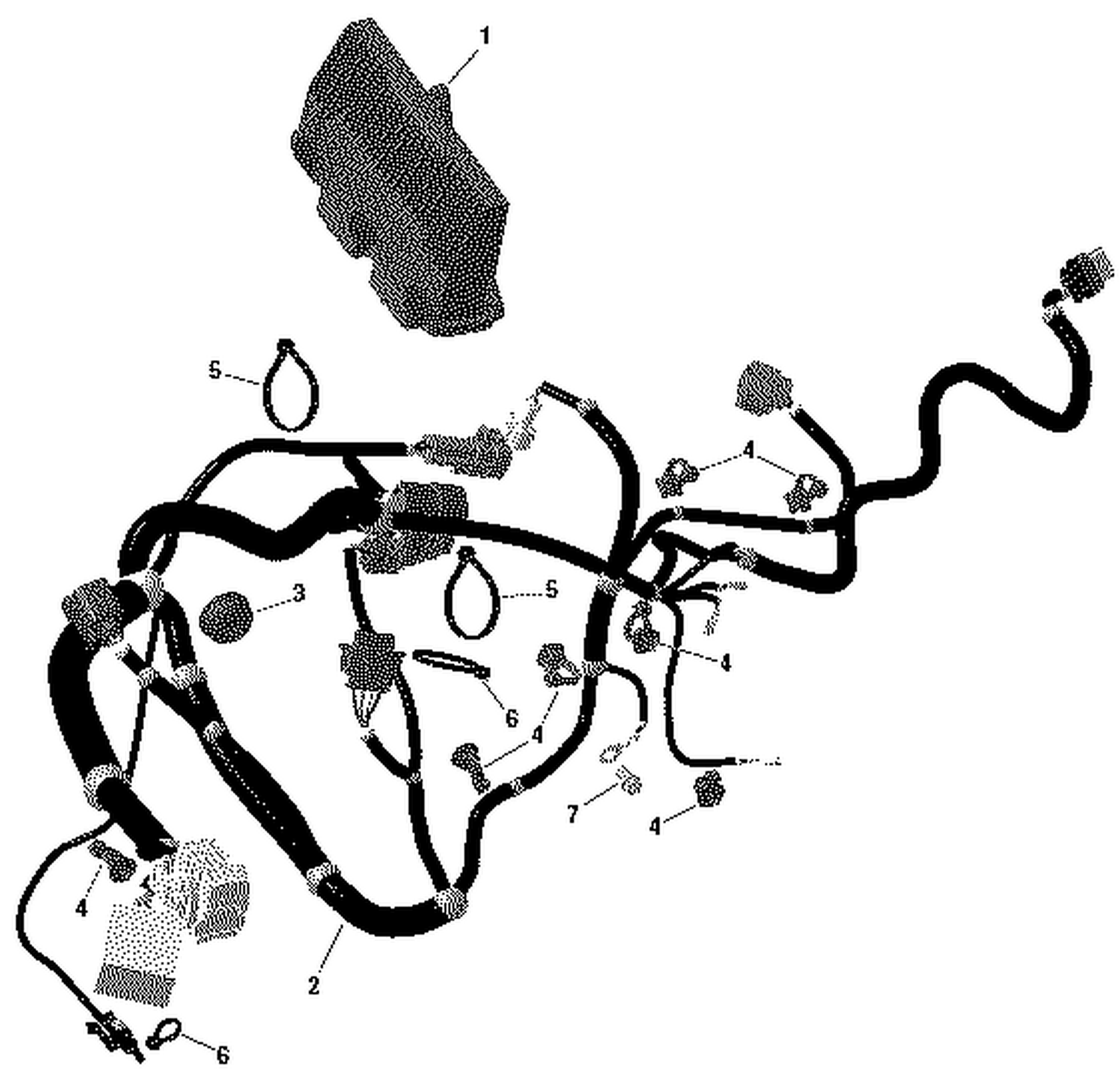 01- ROTAX - Engine Harness And Electronic Module - 700 EFI