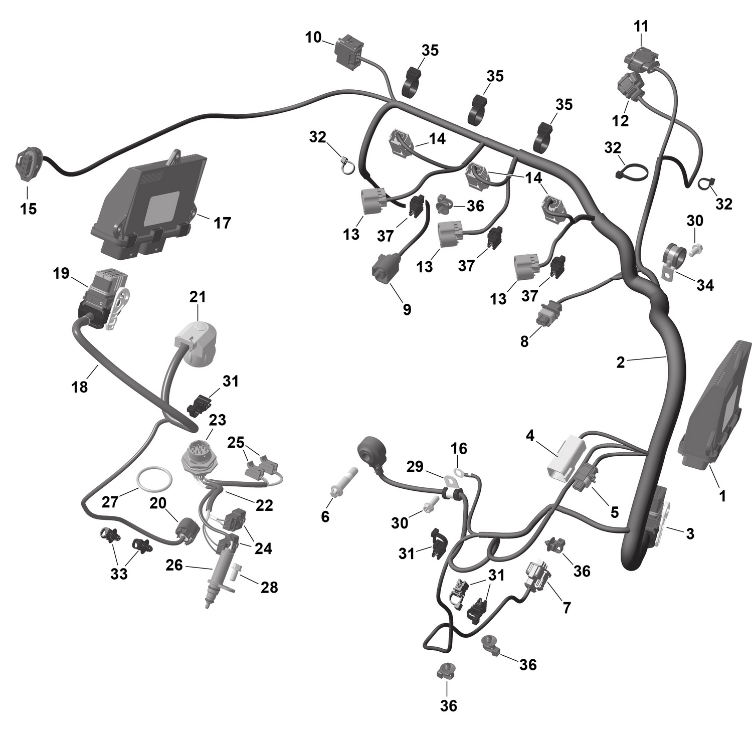 01- ROTAX - Engine Harness And Electronic Module