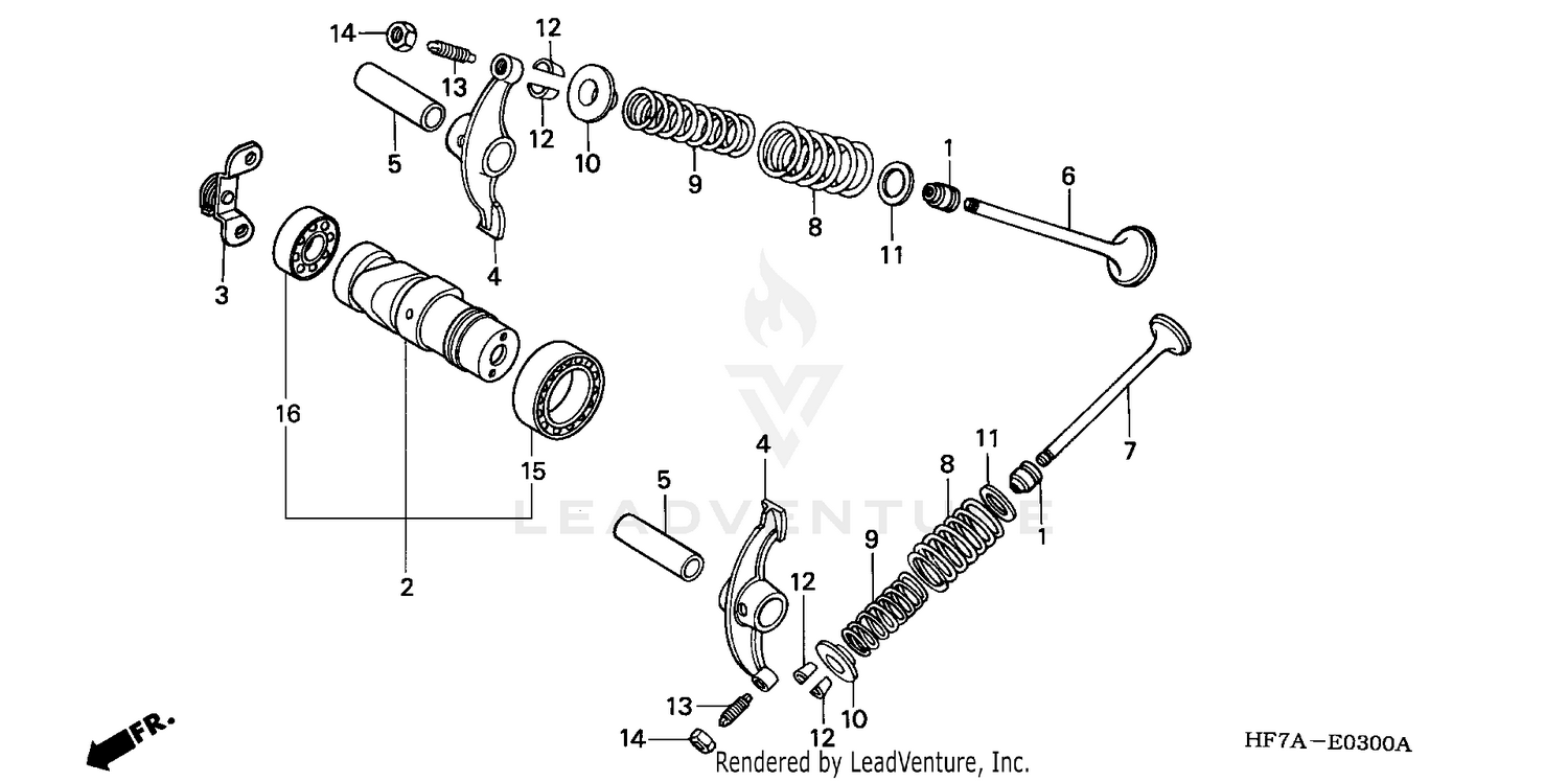 CAMSHAFT + VALVE