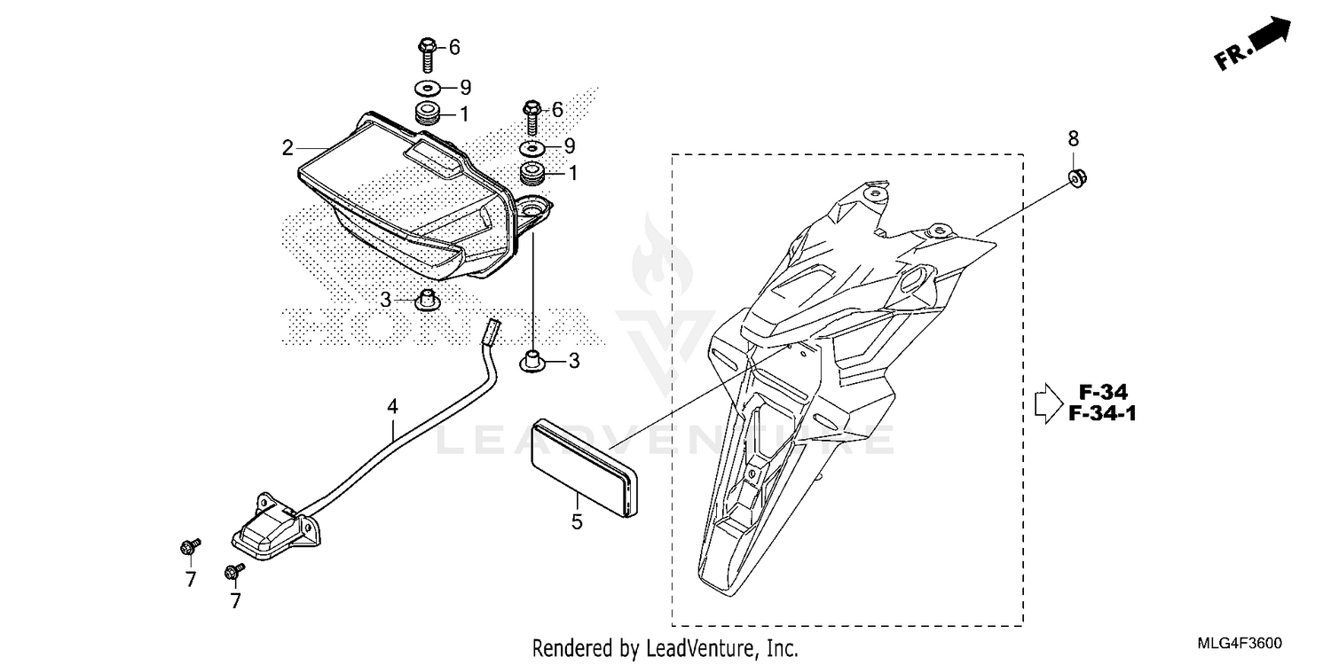 TAILLIGHT@LICENSE LIGHT