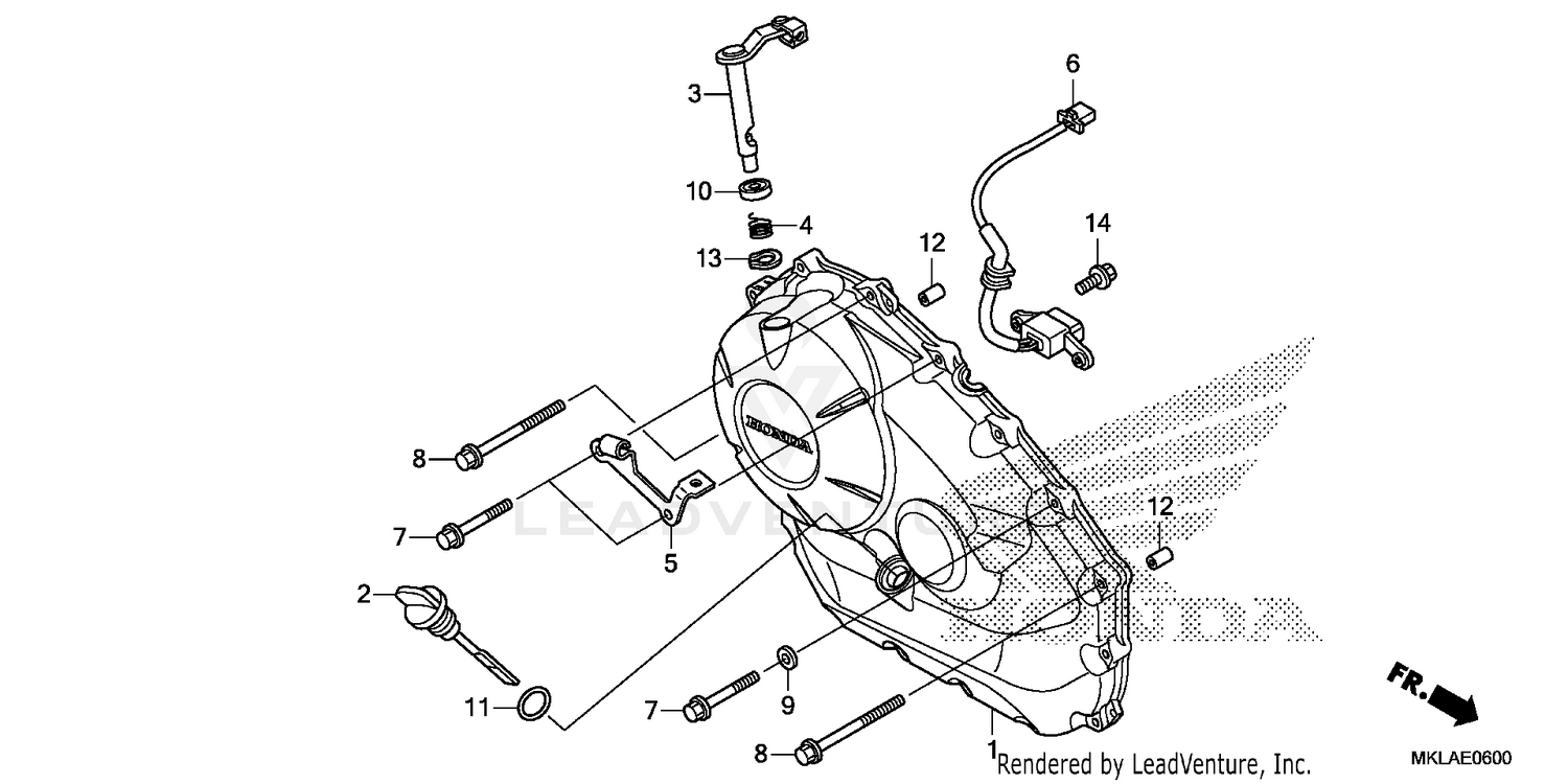 RIGHT CRANKCASE COVER (1)