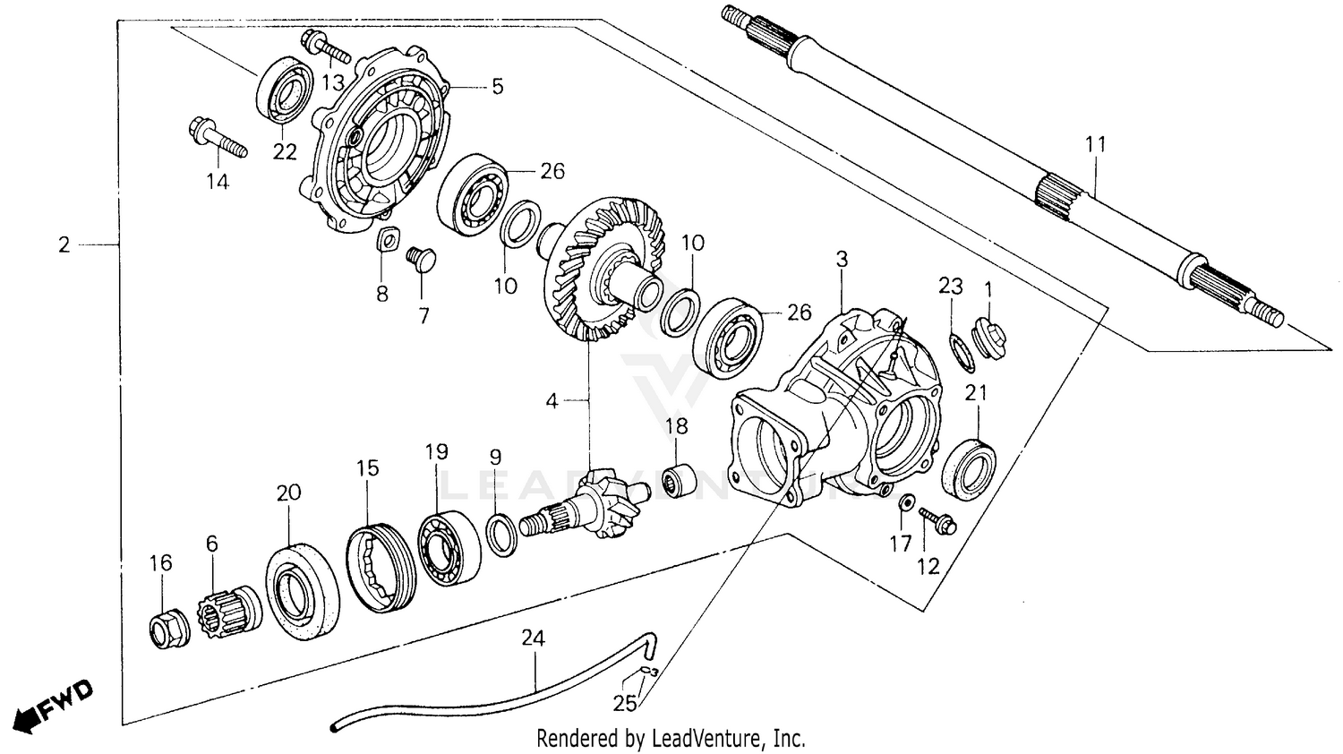 FINAL DRIVEN GEAR + REAR AXLE SHAFT