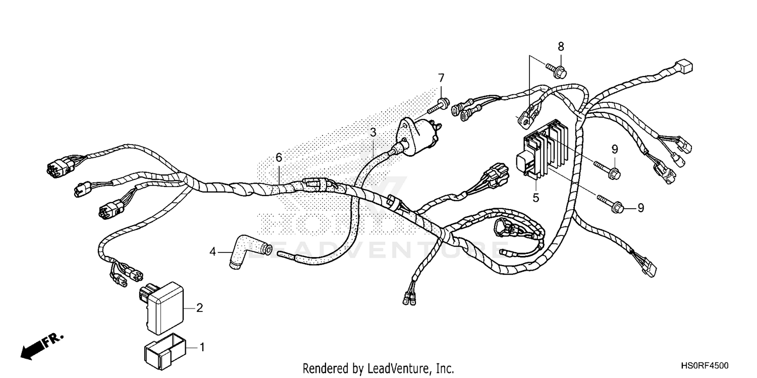 WIRE HARNESS (1)