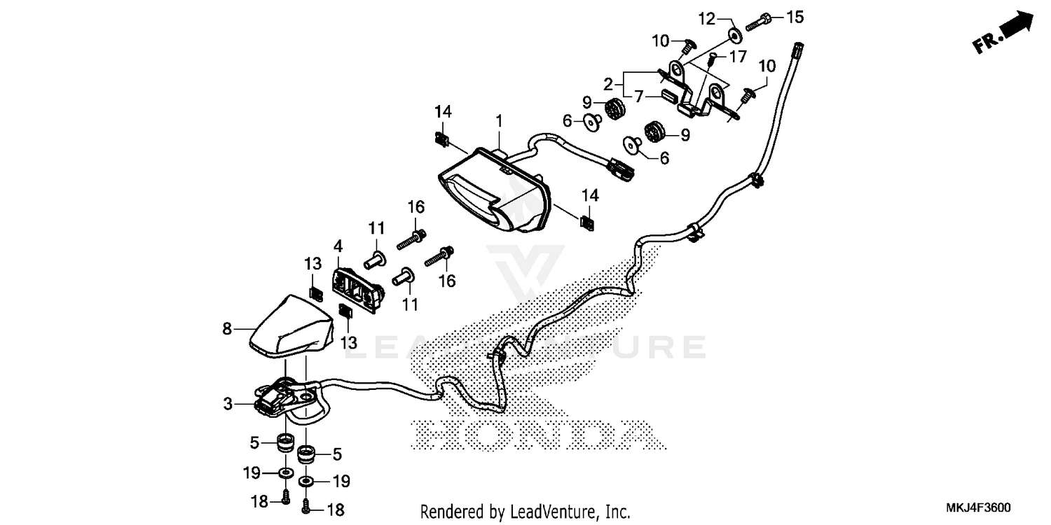 TAILLIGHT@LICENSE LIGHT