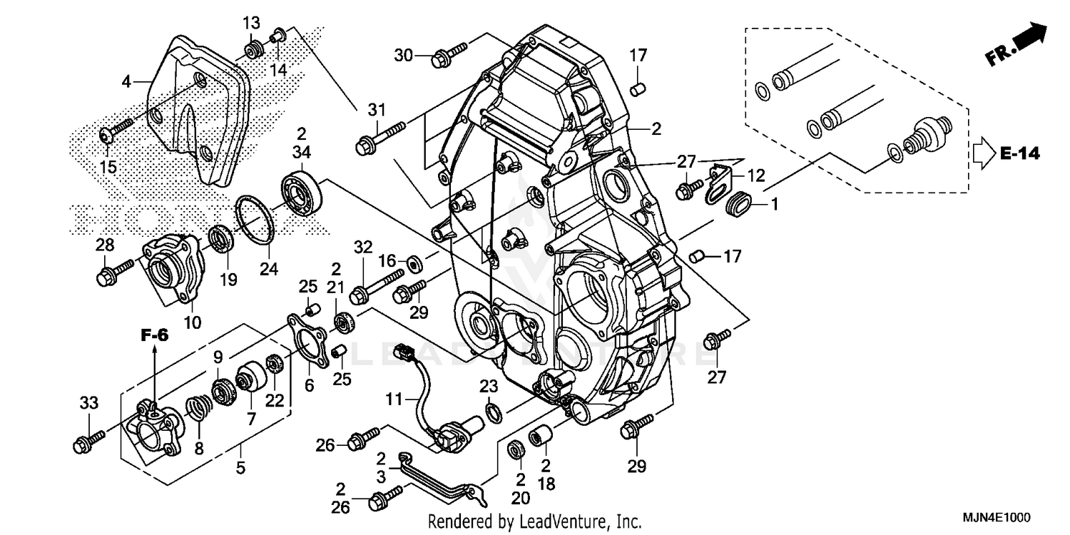 REAR CRANKCASE COVER