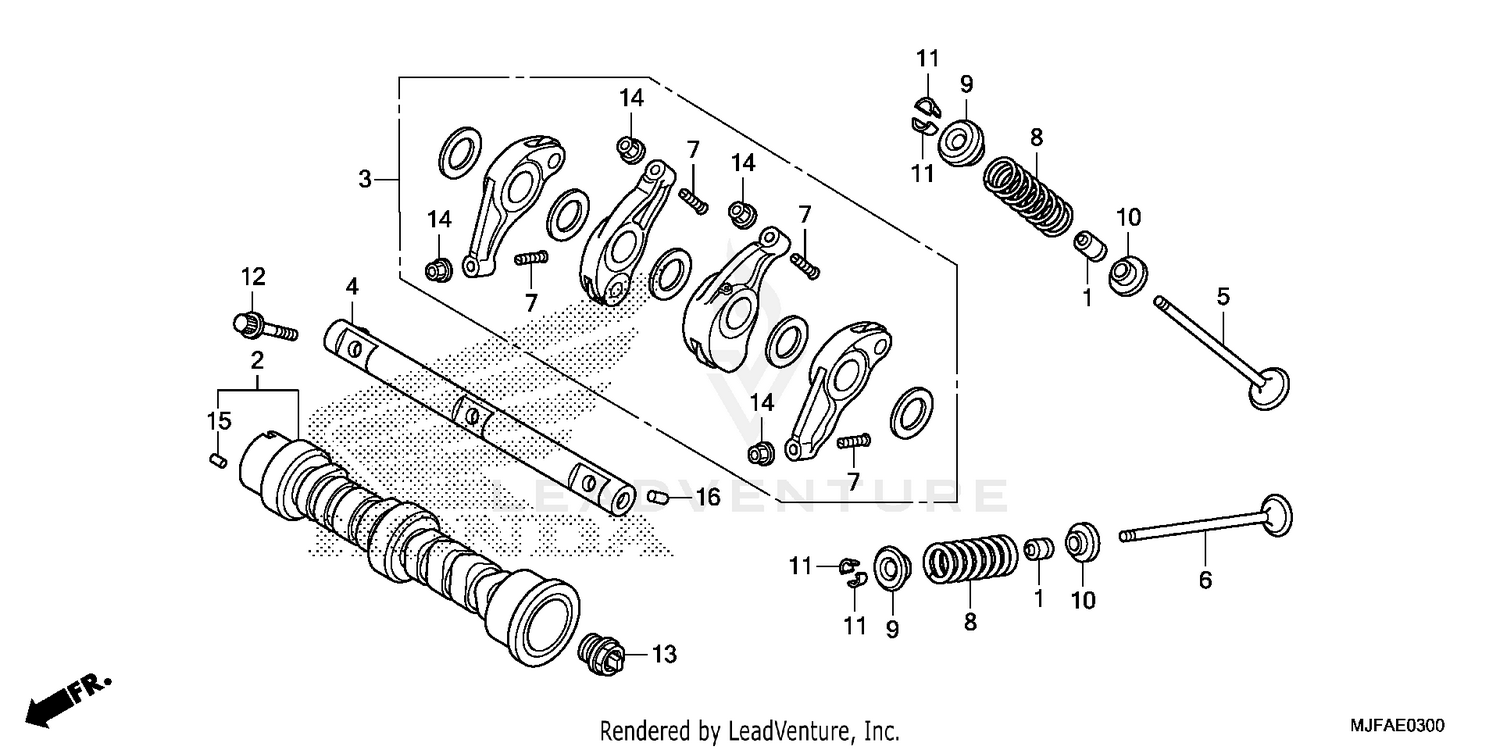 CAMSHAFT + VALVE