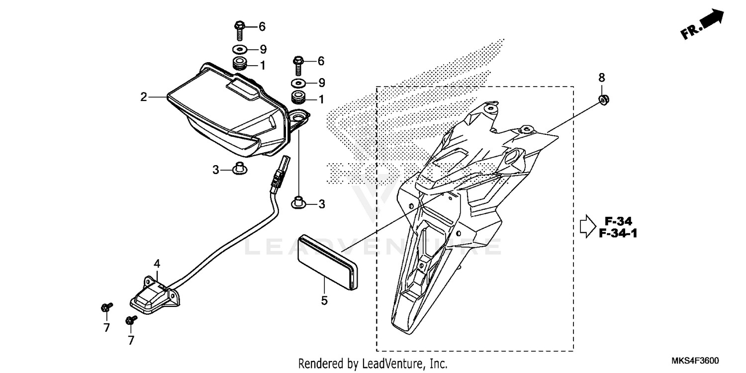 TAILLIGHT@LICENSE LIGHT