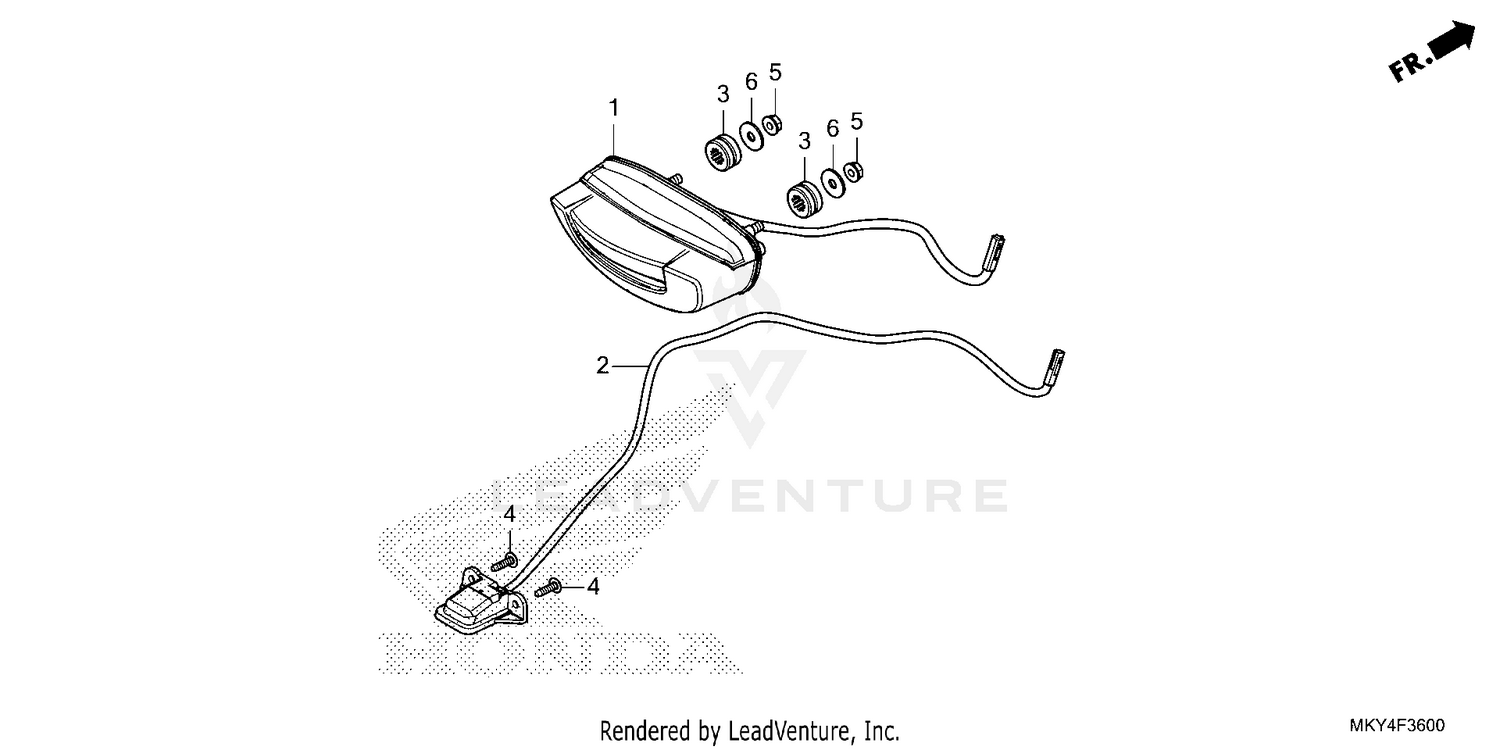 TAILLIGHT@LICENSE LIGHT
