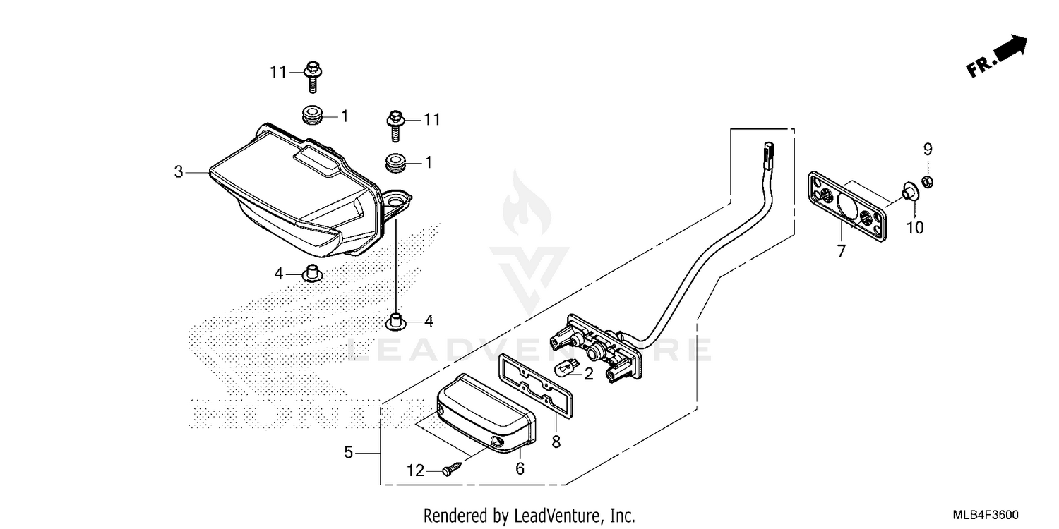 TAILLIGHT@LICENSE LIGHT