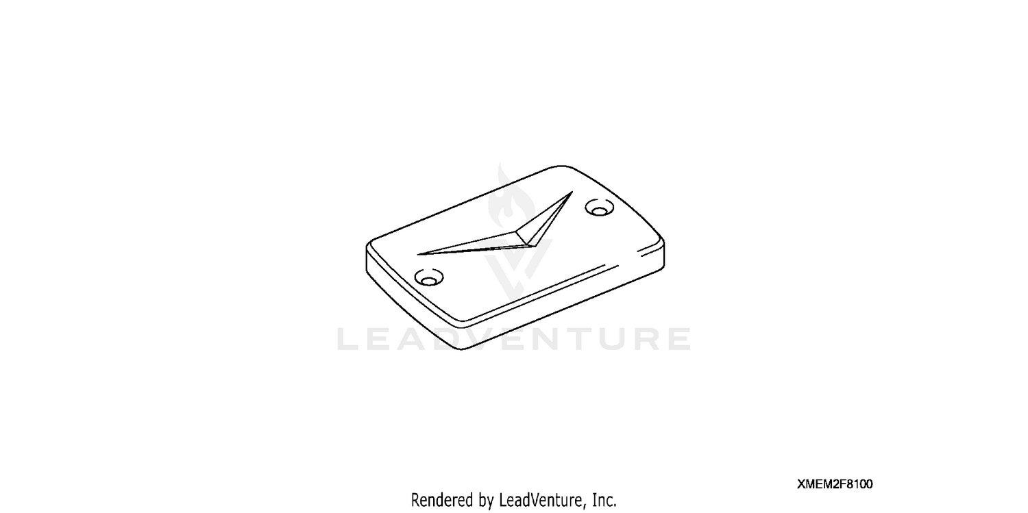 CHROME BILLET MASTER CYLINDER COVER SET (V)