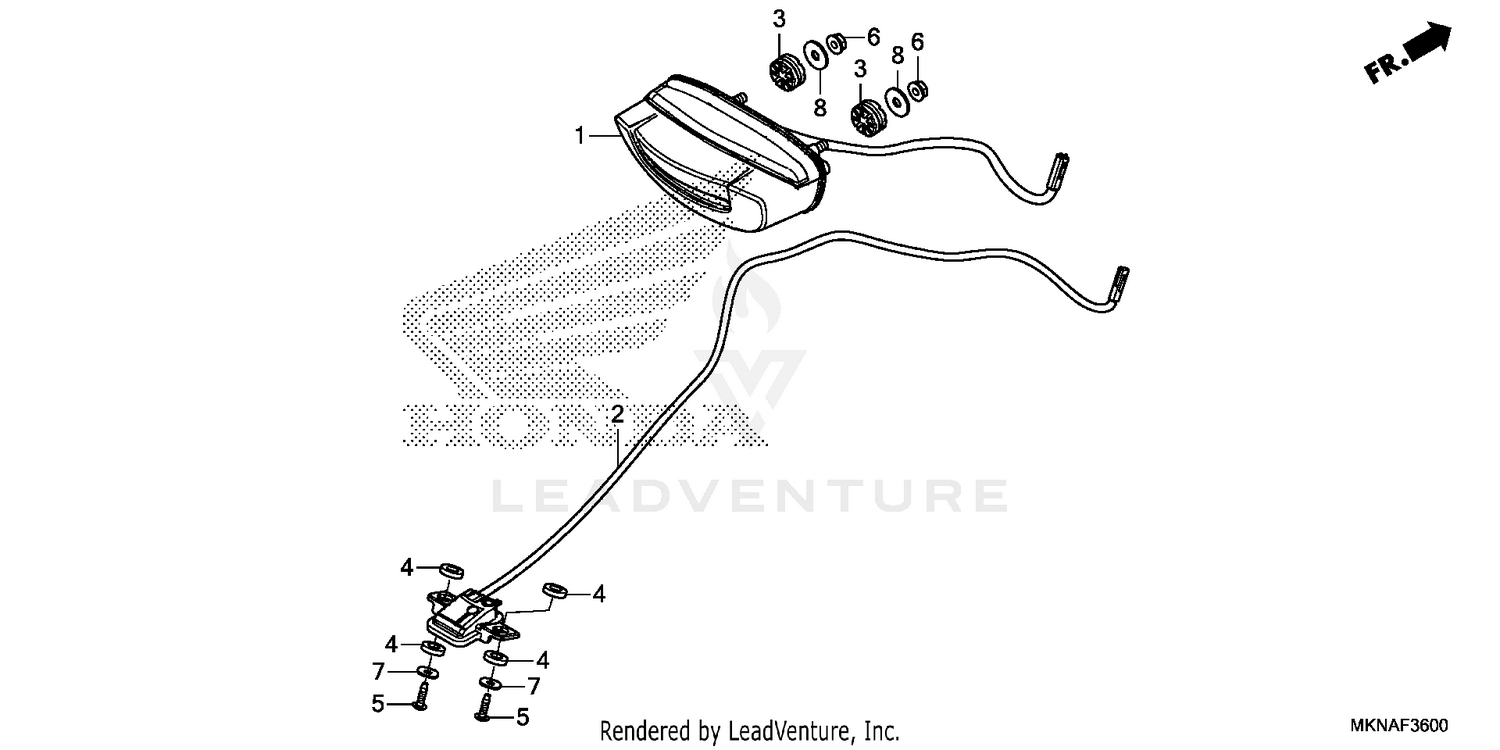 TAILLIGHT@LICENSE LIGHT