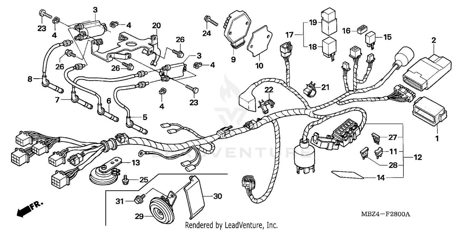 WIRE HARNESS