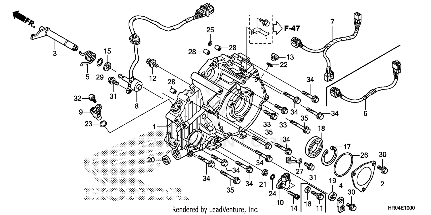 REAR CRANKCASE COVER