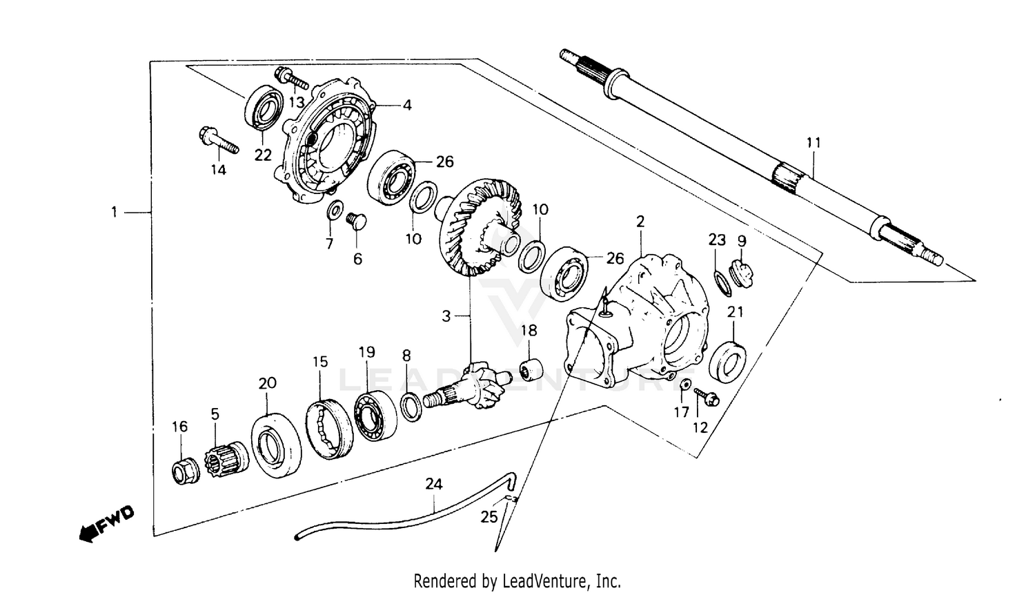 FINAL DRIVEN GEAR + REAR AXLE SHAFT