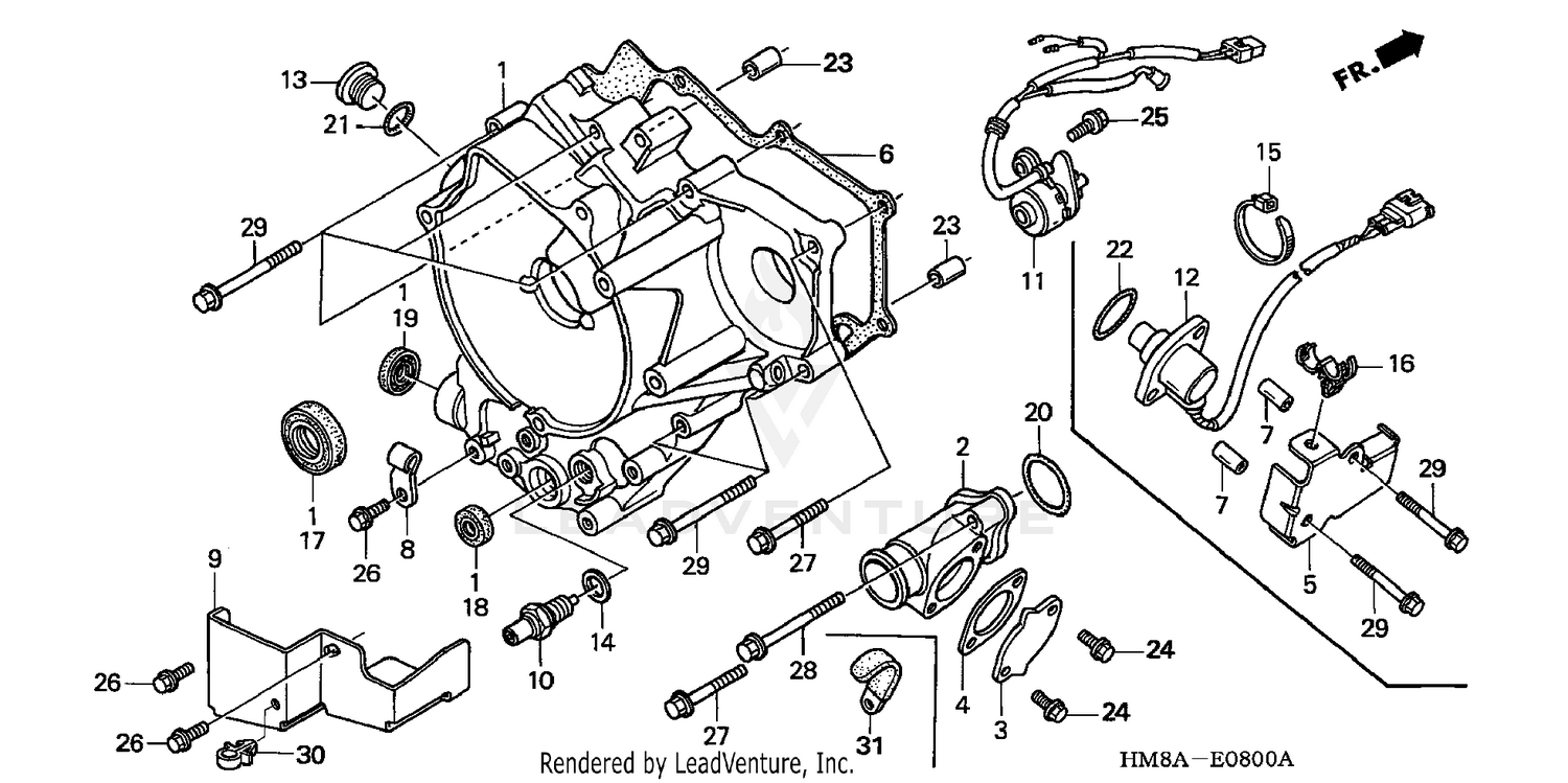 REAR CRANKCASE COVER