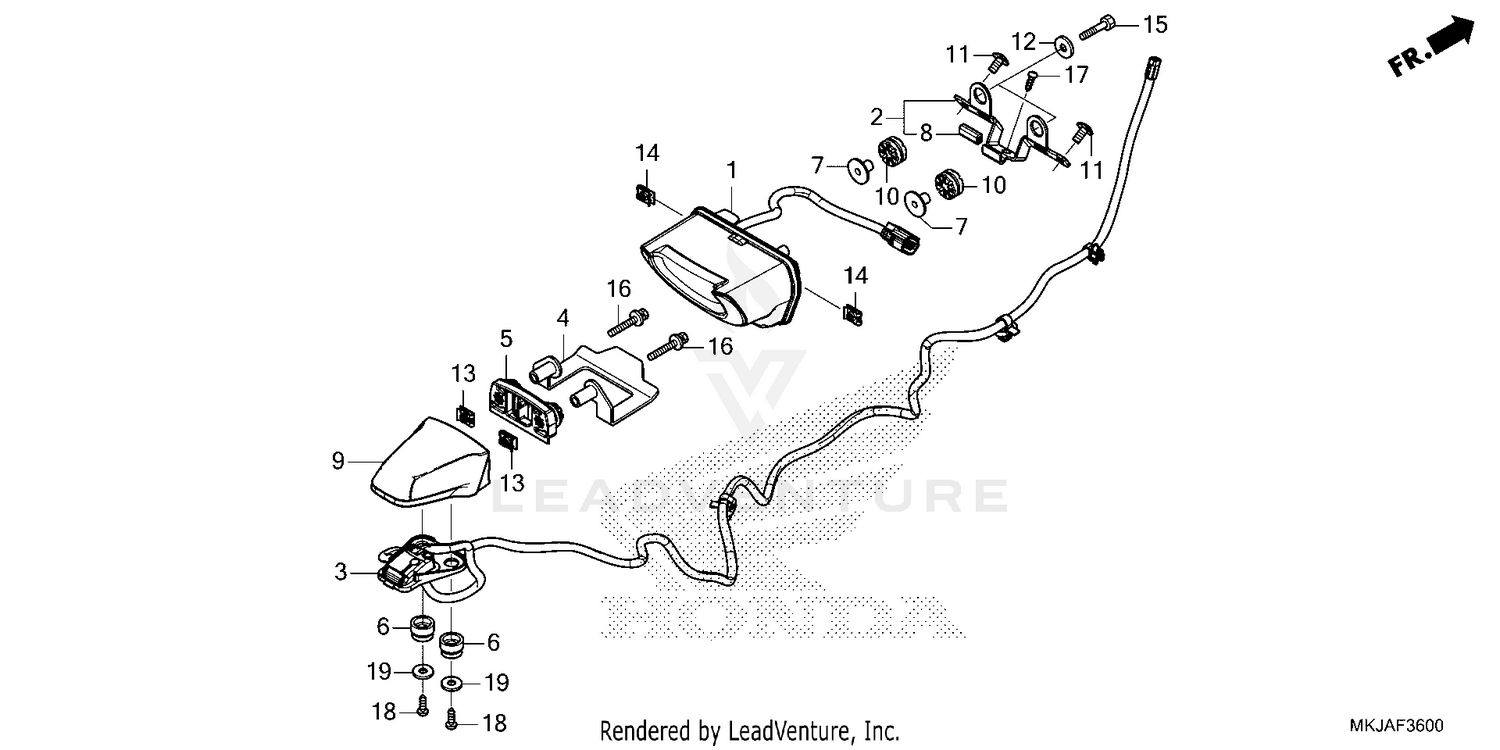 TAILLIGHT@LICENSE LIGHT