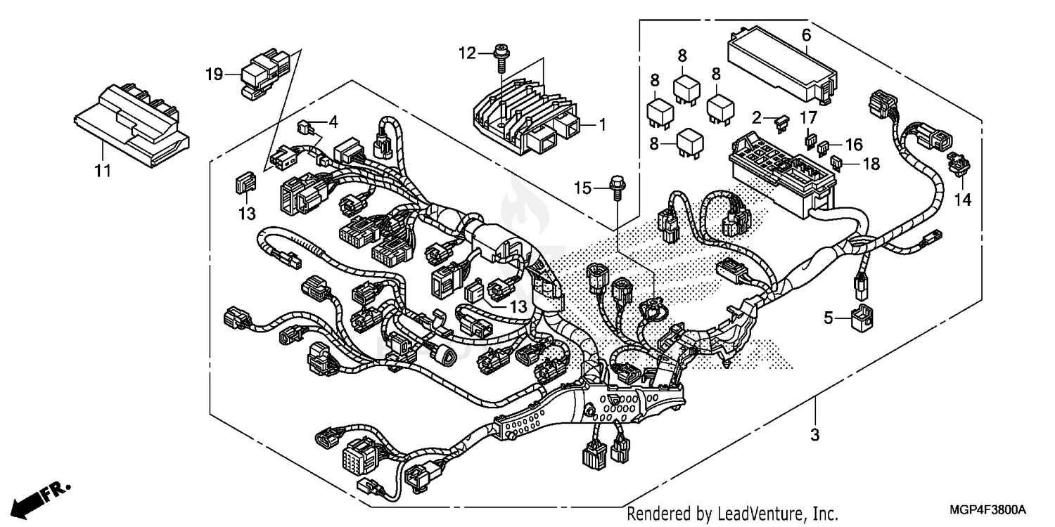 WIRE HARNESS             (1)