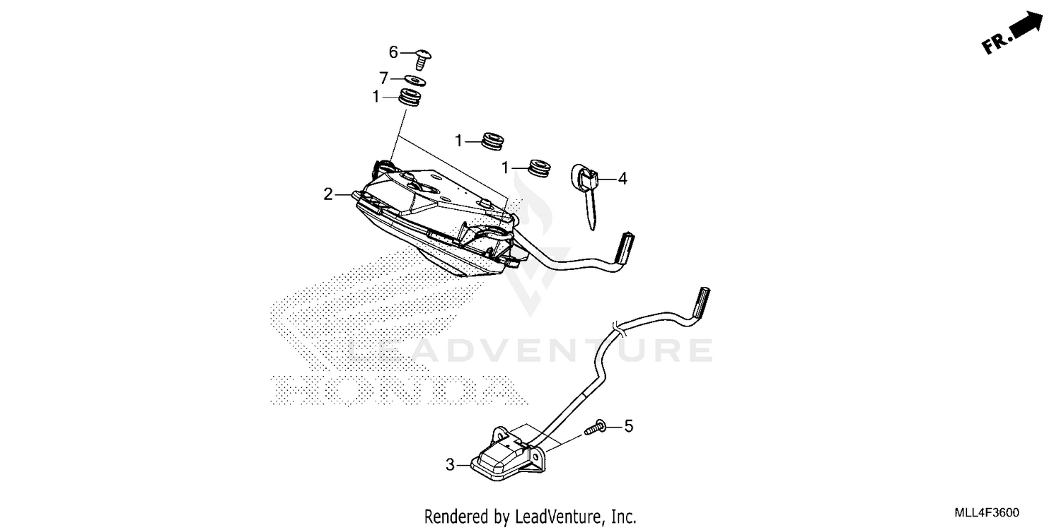 TAILLIGHT@LICENSE LIGHT