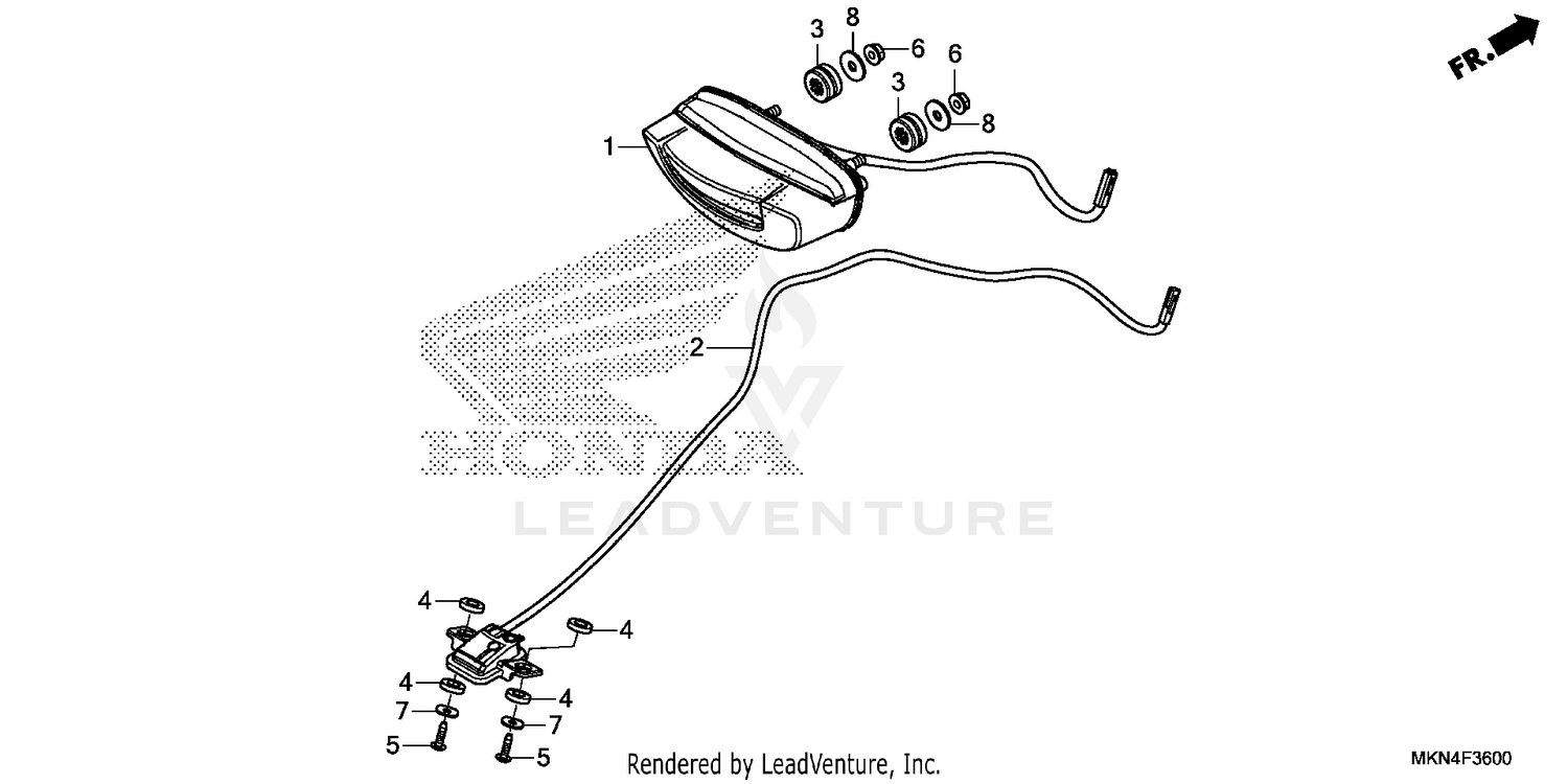 TAILLIGHT@LICENSE LIGHT