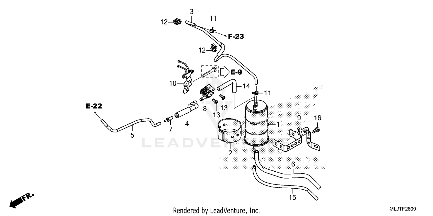 CANISTER