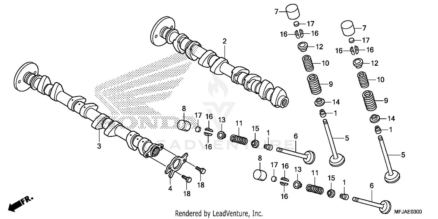 CAMSHAFT + VALVE