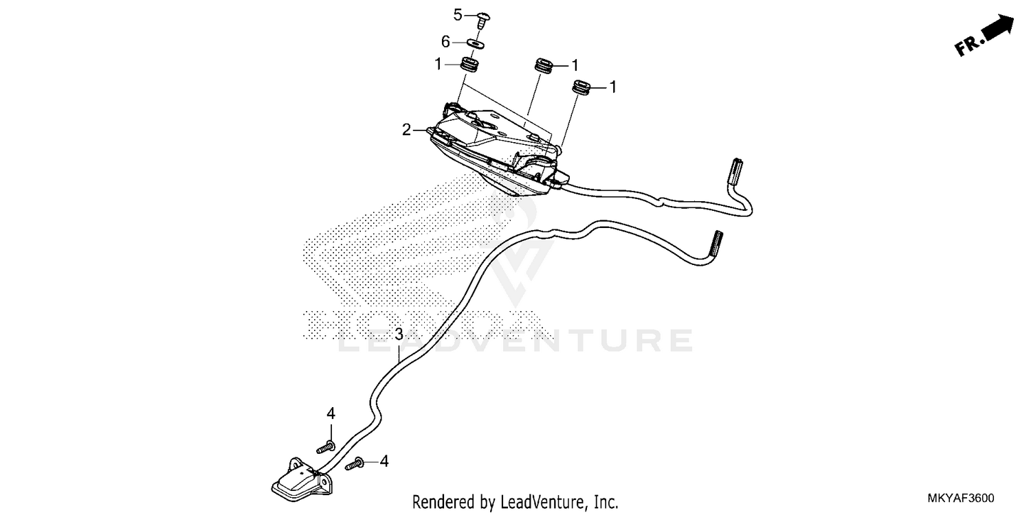 TAILLIGHT@LICENSE LIGHT