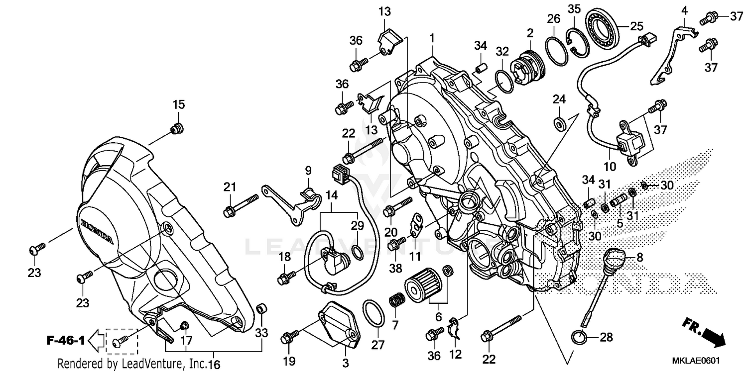 RIGHT CRANKCASE COVER (2)