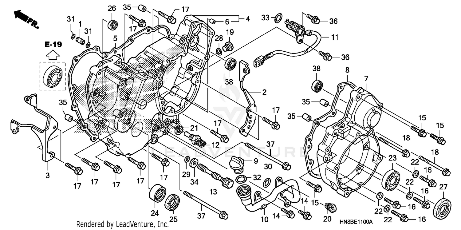 REAR CRANKCASE COVER