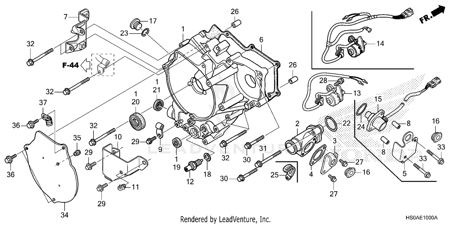 REAR CRANKCASE COVER