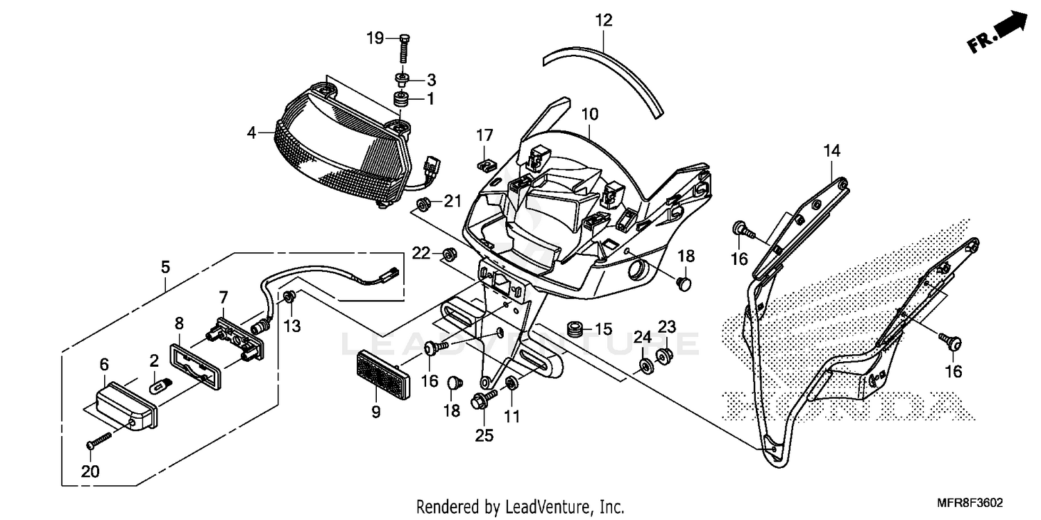 TAILLIGHT@LICENSE LIGHT  (3)