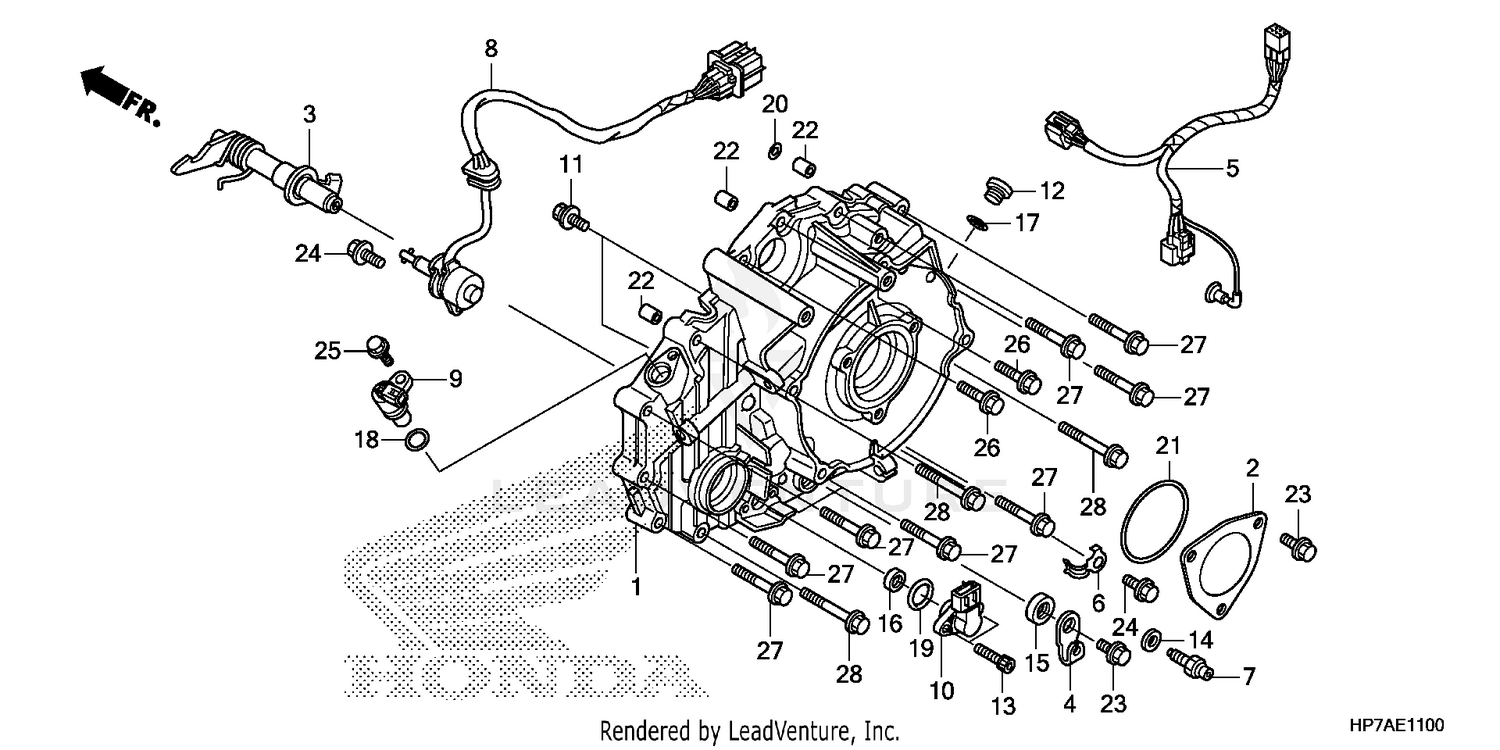 REAR CRANKCASE COVER